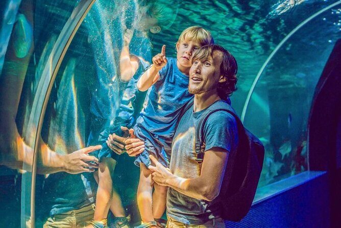 Dubai Aquarium & Underwater Zoo - Who should book this aquarium-and-zoo combo