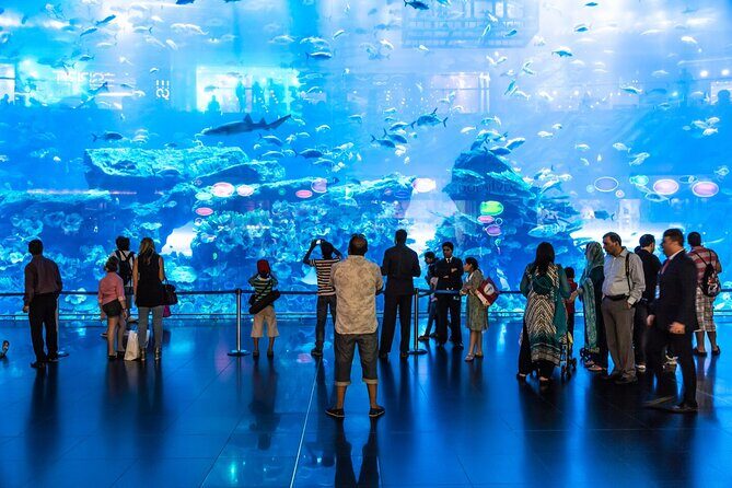 Dubai Aquarium & Underwater Zoo Entrance Ticket - Dubai Aquarium & Underwater Zoo: Big Indoor Marine Life, One Stop