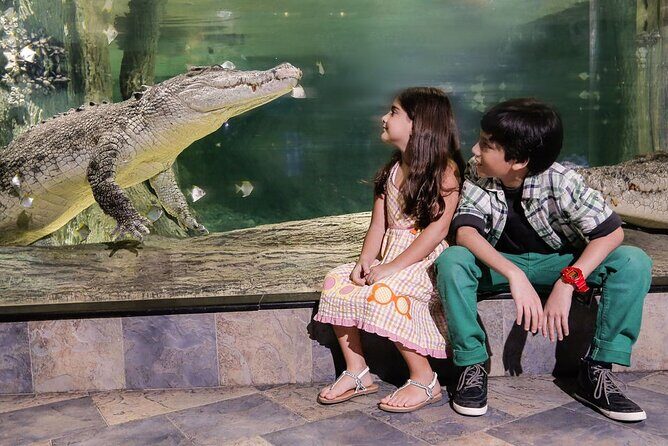 Dubai Aquarium & Underwater Zoo Entrance Ticket - Price and Value: When $48 Feels Fair