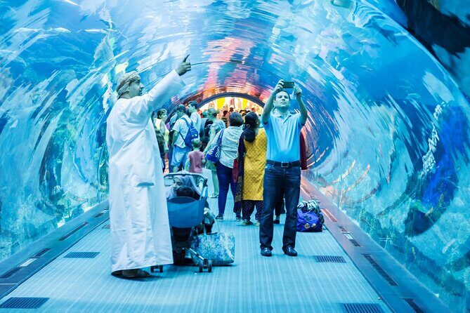 Dubai Aquarium & Underwater Zoo Entrance Ticket - The Underwater Zoo Area: More Than Just Fish