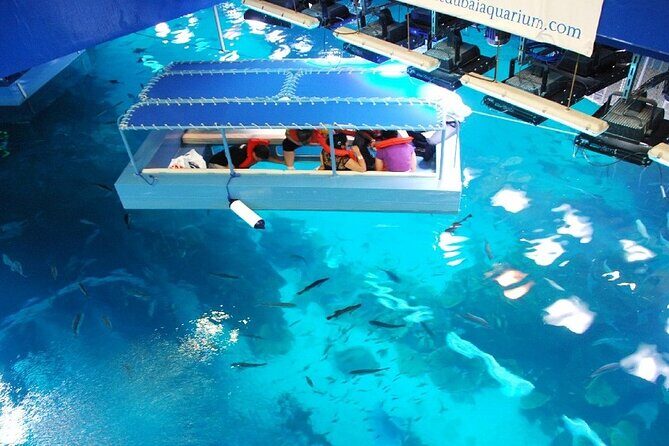 Dubai Aquarium & Underwater Zoo with Penguin Cove - Dubai Mall Aquarium Scale: What You’re Buying With This Ticket