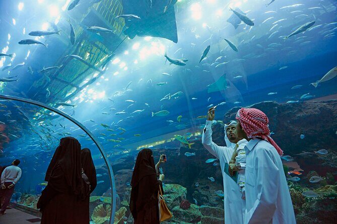 Dubai Aquarium & Underwater Zoo with Penguin Cove - Price and Value: Is $58.61 a Good Deal for One Hour?