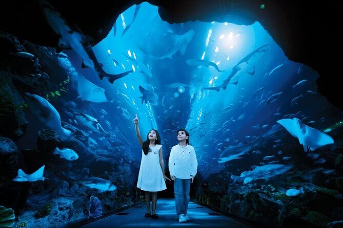 Dubai Aquarium & Underwater Zoo - Underwater Zoo above the tanks: penguins, piranhas, and King Croc