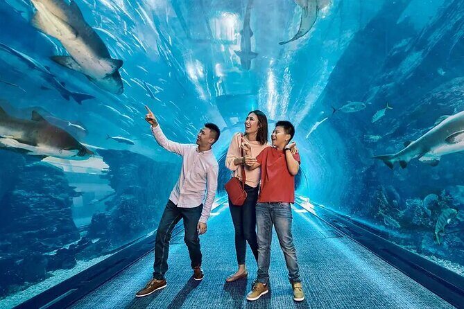 Dubai Aquarium UnderwaterZoo and Penguin cove Admission Ticket - What you’re really buying for $48