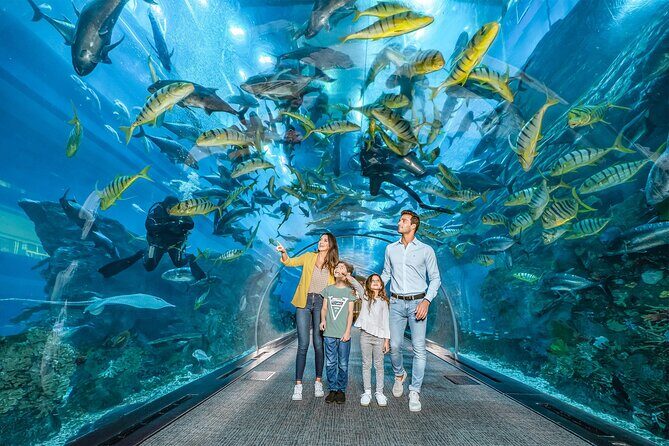 Dubai Aquarium UnderwaterZoo and Penguin cove Admission Ticket - Underwater Zoo: 2nd floor displays and animal variety