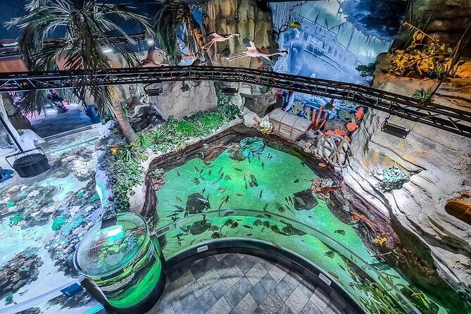 Dubai Aquarium UnderwaterZoo and Penguin cove Admission Ticket - The shark feature: sand tiger sharks and why people care