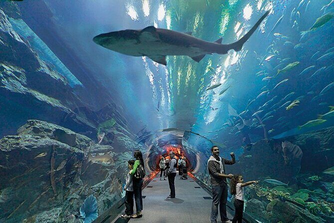 Dubai Aquarium UnderwaterZoo and Penguin cove Admission Ticket - Location and access: near public transport, no transport included