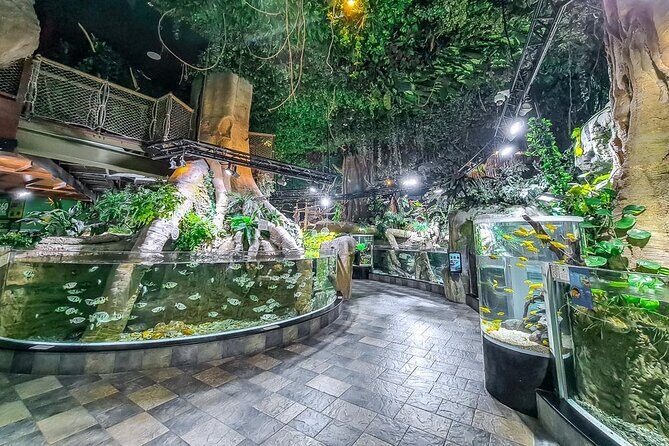 Dubai Aquarium UnderwaterZoo and Penguin cove Admission Ticket - First sight: the suspended tank that sets the tone