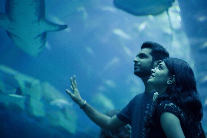 Dubai Aquarium with Various Animal Encounter and Access Options - Otter encounter: the special handshake moment