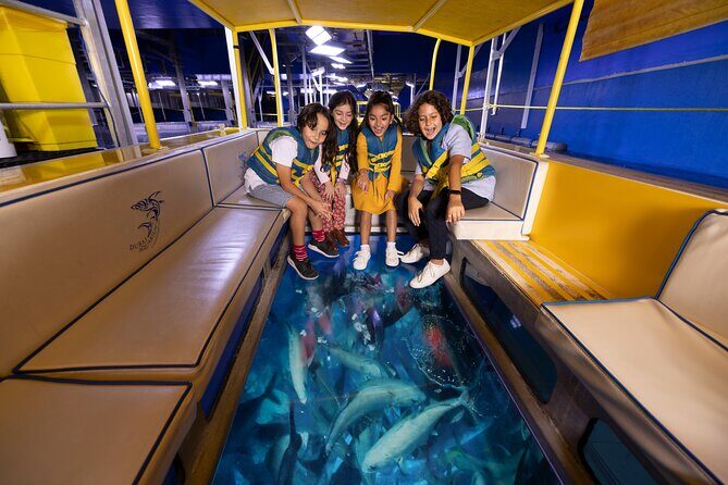Dubai Aquarium with Various Animal Encounter and Access Options - Ray and shark trainer encounter options: for the science-curious and action-lovers