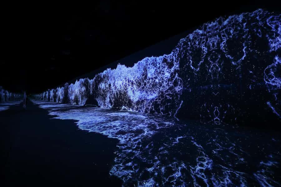 Dubai: Arte Immersive Museum Entry Ticket - Sacred Forest and the UAE-inspired side of Arte