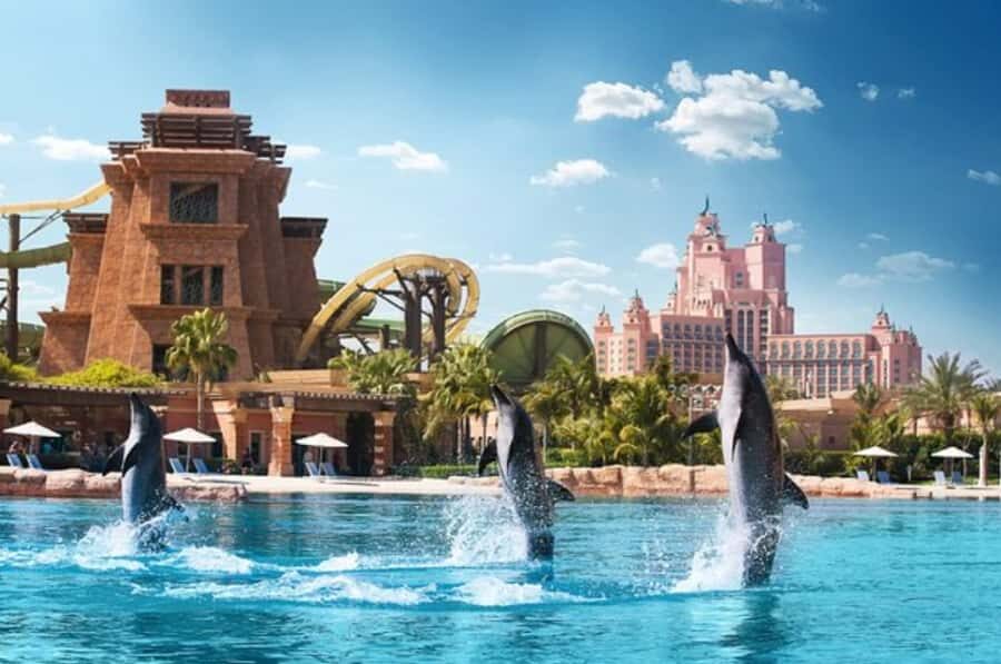 Dubai: Atlantis Dolphin Kayak Trip & Aquaventure Waterpark - Key highlights to know before you go
