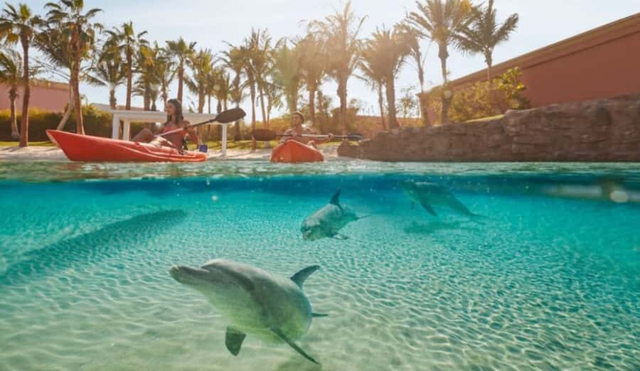 Dubai: Atlantis Dolphin Kayak Trip & Aquaventure Waterpark - What to wear and bring for the kayak + waterpark combo