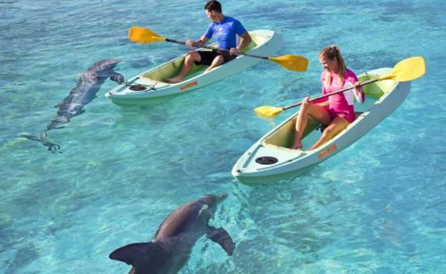 Dubai: Atlantis Dolphin Kayak Trip & Aquaventure Waterpark - Marine mammal specialist orientation: how you’ll be guided around dolphins
