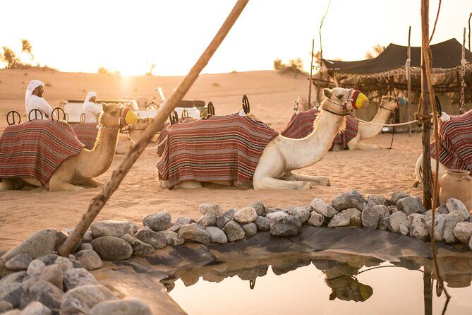 Dubai: Bedouin Culture Safari - Pickup timing and what you receive before you hit the sand
