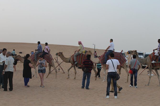 Dubai: Buggy Dune Bashing, Sand Boarding, Camel Ride & Show - Sandboarding the red dunes: short sessions that still feel real