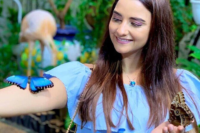 Dubai Butterfly Garden Admission Ticket - Key things to know before you go
