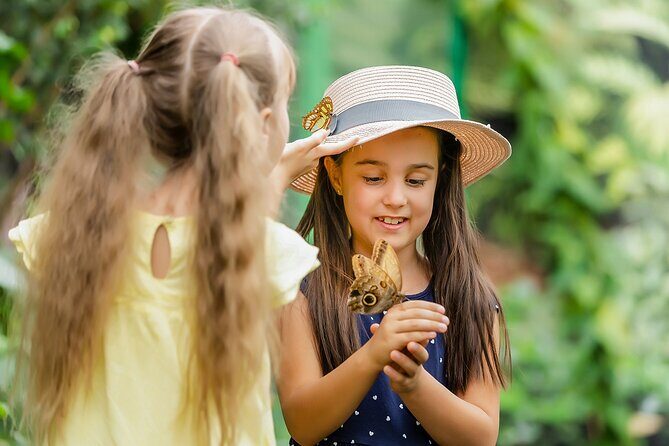 Dubai Butterfly Garden Admission Ticket - Dubai Butterfly Garden in 2–3 Hours: What Your Ticket Gets You