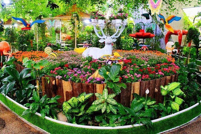 Dubai Butterfly Garden Admission Ticket - Koi pond and the educational section: useful context without homework