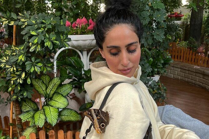 Dubai Butterfly Garden Entry Ticket - Key highlights before you go