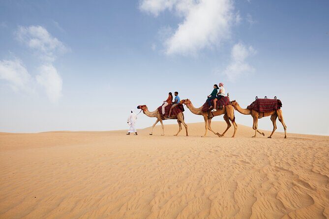 Dubai: Camel Caravan, Bedouin Breakfast with Al Marmoom Oasis - Camel Caravan on the Dunes: 10–12 Minutes, Up to Twice