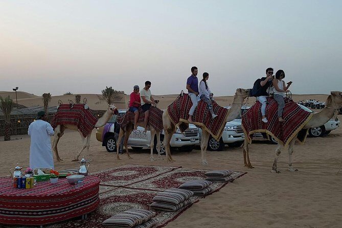 Dubai Camel Caravan with BBQ Dinner Buffet - Camel Caravan Time and What to Expect on the Camel
