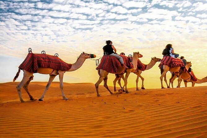 Dubai Camel Caravan with BBQ Dinner Buffet - Pickup, Group Size, and Guide Service: The Real Convenience Stuff