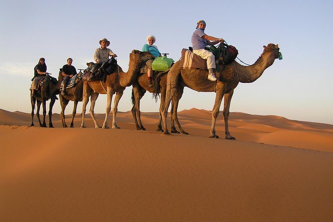 Dubai Camel Caravan with BBQ Dinner Buffet - Should You Book It?