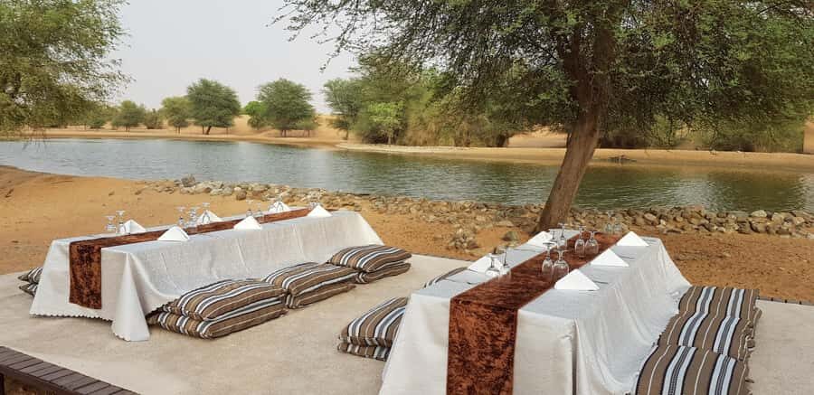 Dubai: Camel Safari, Wildlife & Lakeside Breakfast - Price and value: what $115 buys you in real terms