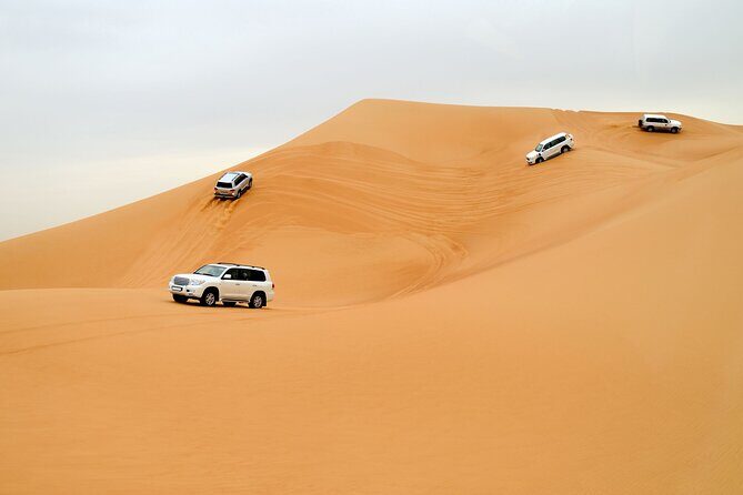 Dubai City Pass: all inclusive Pass with Hop On Hop Off & tours - Cruising Dubai Marina: two ways to do water views