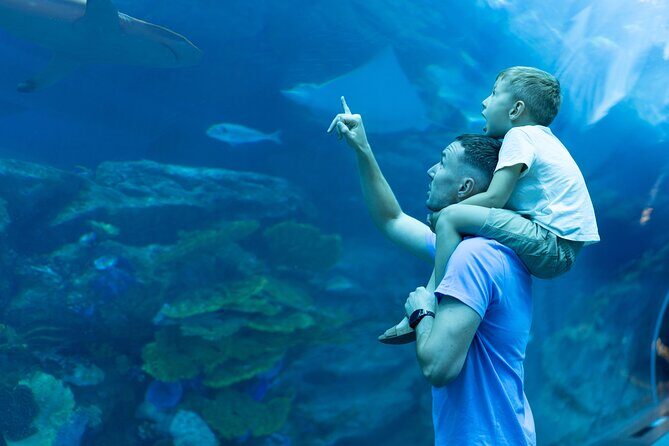 Dubai City Pass: all inclusive Pass with Hop On Hop Off & tours - Aquarium time without the stress: The Lost Chambers at Aquaventure