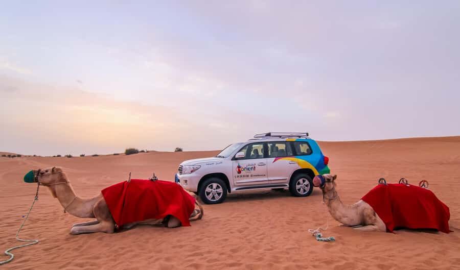 Dubai: City Tour and Desert Experience with Fun Activities - Modern Dubai Pass-By: Atlantis, Museum of the Future, Dubai Frame, and Burj Khalifa