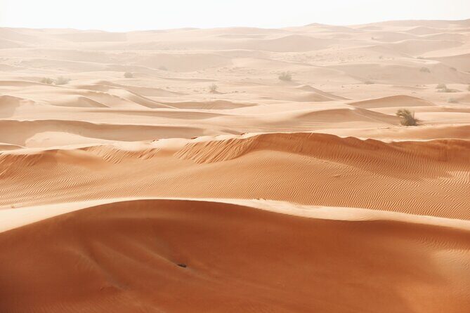 Dubai City tour and Desert Safari Combo with free Arabic scarf - Palm Jumeirah and Atlantis: The Man-Made Wonder Stops
