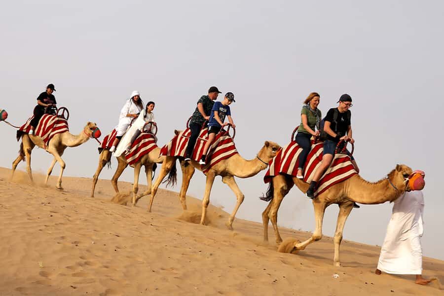 Dubai City Tour and Evening Desert Safari Combo - Stargazing With a Telescope: What This Adds to the Evening