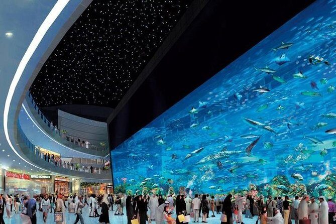 Dubai City tour from Abu Dhabi - Palm Jumeirah and Atlantis: 45 minutes for views and photos