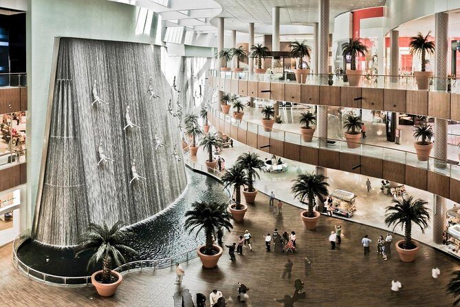 Dubai City tour from Abu Dhabi - Dubai Mall: 2 hours of shopping time plus lunch