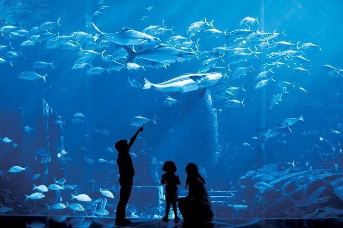 Dubai City Tour : Half Day - Burj Al Arab and Palm Jumeirah: Icons From the Right Angles