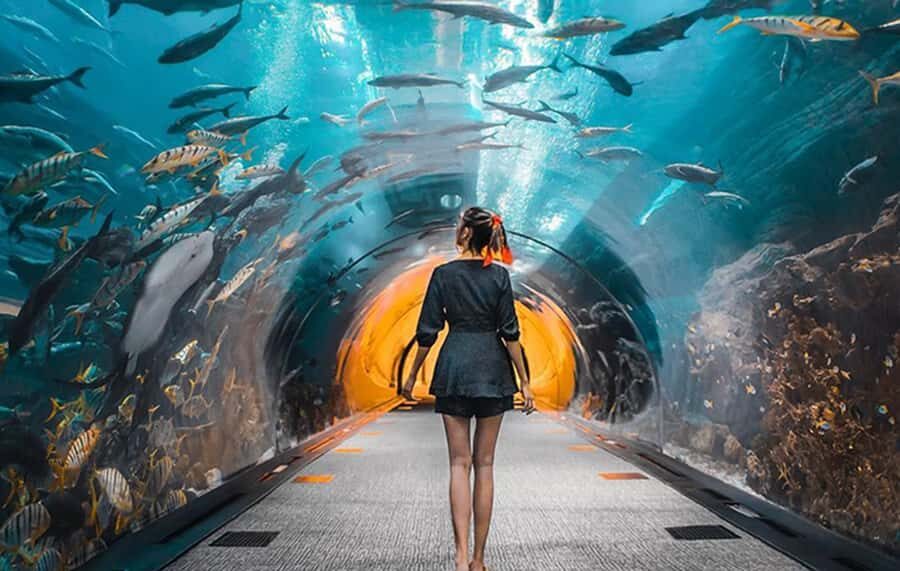 Dubai: City Tour with Burj Khalifa and Underwater Zoo Ticket - Photo stops at Dubai Marina, Palm Jumeirah, and Atlantis (and what to expect)