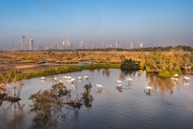 Dubai City Tour with Burj Khalifa - Getting Picked Up and Staying Comfortable for a 9-Hour Loop