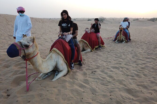 Dubai City Tour with Desert Safari - A 3pm start that turns Dubai into a day-and-night sampler