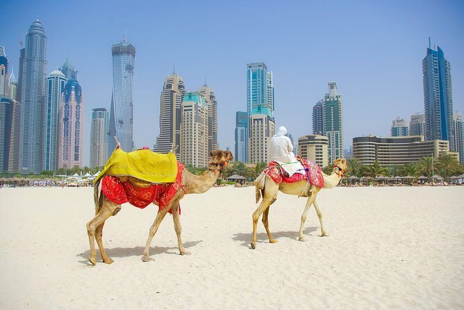 Dubai City Tour with Desert Safari & BBQ Dinner - Why this Dubai combo tour makes sense