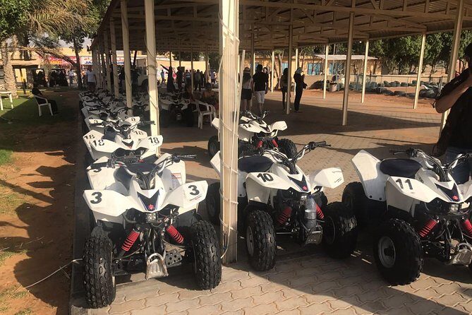 Dubai City Tour with Evening Desert Safari and BBQ Dinner-Combo - Lunch Gap: Plan It Like a Local, Not Like a Tourist