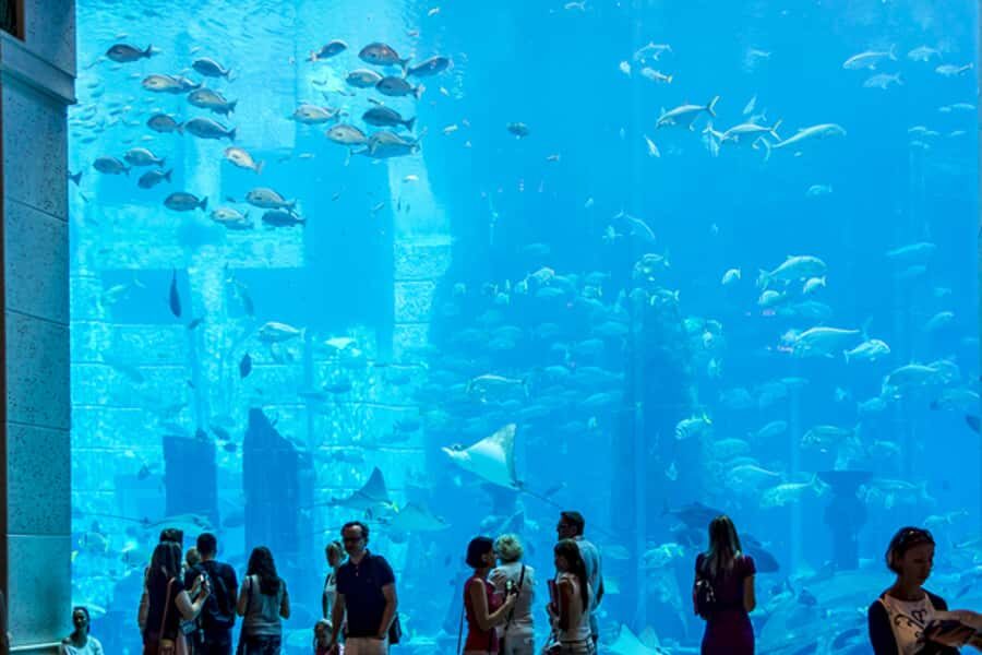 Dubai Combo: Morning City Tour & Evening Desert Safari - Morning city tour (8:00–12:00): what you’ll actually see
