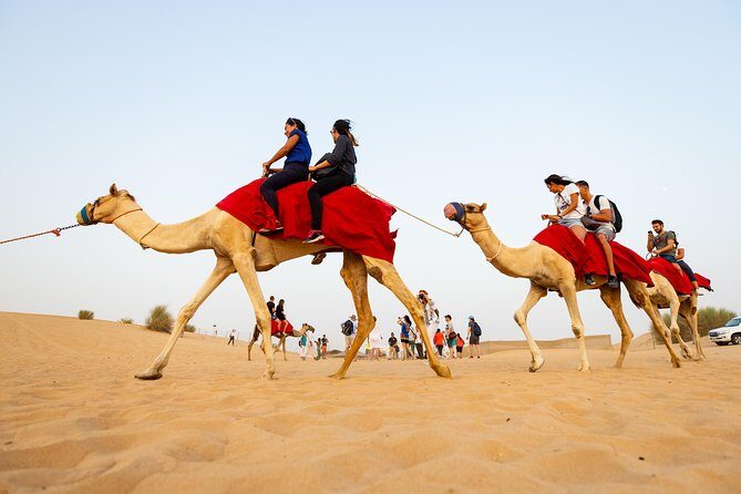 Dubai Combo:City Tour and Premium Desert Safari with all Activities - Key highlights at a glance
