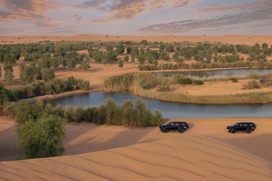 Dubai: Conservation Drive & Platinum Breakfast - Quick hits before you go