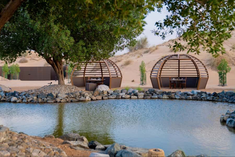 Dubai: Conservation Drive & Platinum Breakfast - Price and value: why $189 can feel fair here