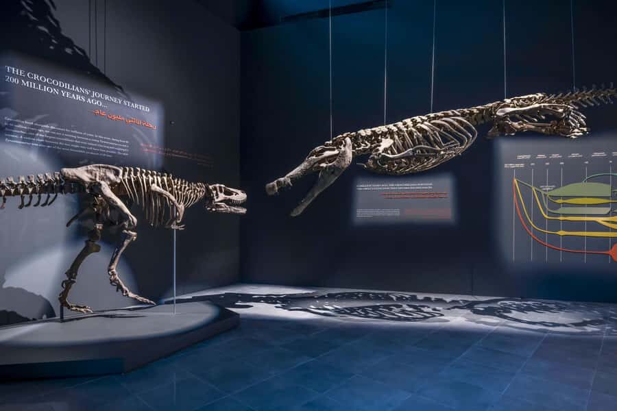 Dubai Crocodile Park Ticket - Key Takeaways Before You Go