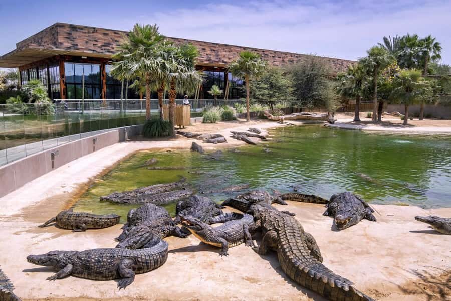 Dubai Crocodile Park Ticket - Natural History Museum: 200 Million Years, Explained Simply