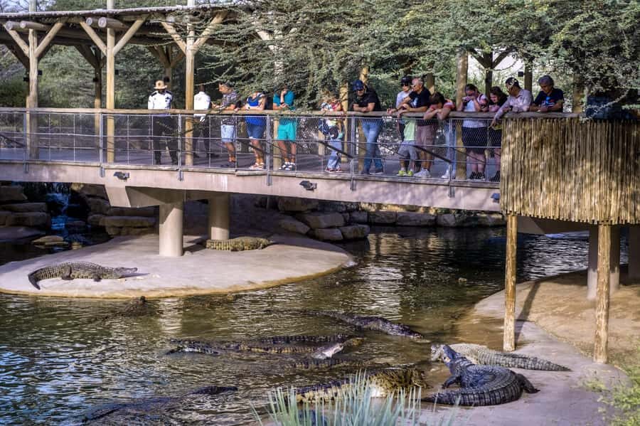 Dubai Crocodile Park Ticket - Price and Value: Is It Worth Around $17?