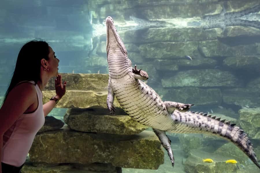 Dubai Crocodile Park Ticket - What’s Not Included (So You Don’t Get Caught Short)